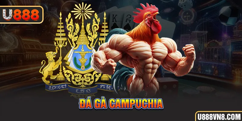 Đá gà Campuchia