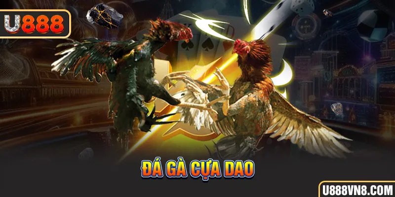 đá gà cựa dao